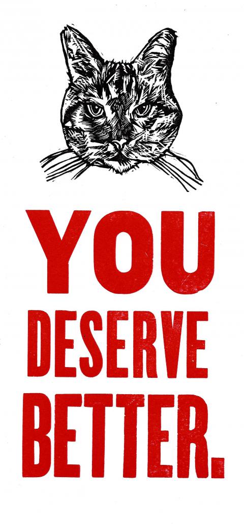 You Deserve Better - Cat - Postcard