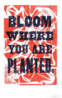 Bloom Where You Are Planted